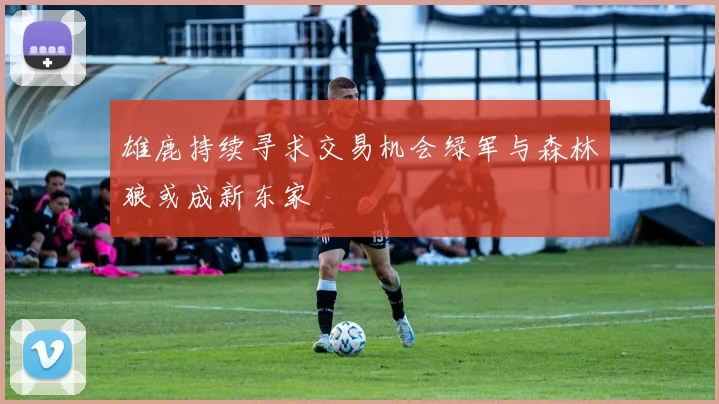 雄鹿持续寻求交易机会绿军与森林狼或成新东家